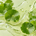 Centella Extract